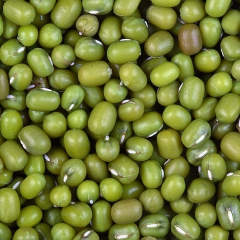 Moong Beans