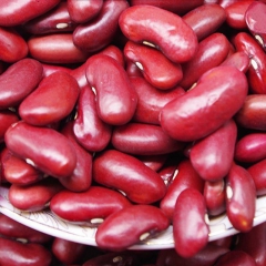 kidney beans